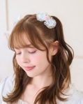 �u���[(150)